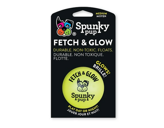 NYLABONE FETCH & GLOW PELOTA MEDIUM