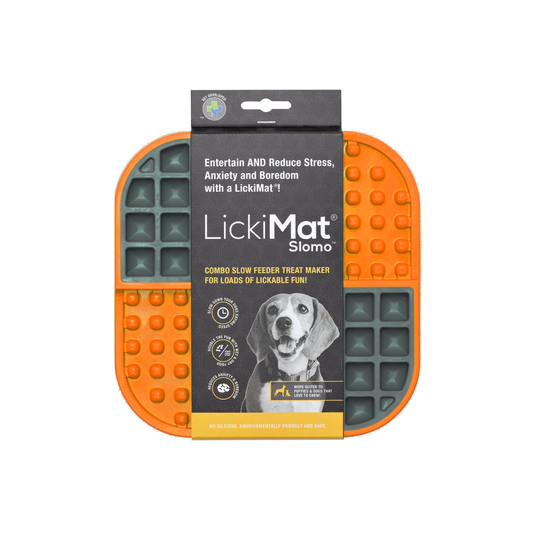 LM SLOMO ORANGE FOR DOG