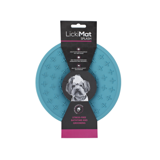 LM SPLASH TURQUOISE FOR DOG