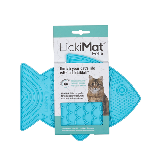 LM FELIX TURQUOISE FOR CAT