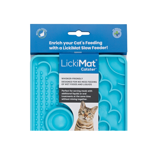 LM CATSTER TURQUOISE FOR CAT