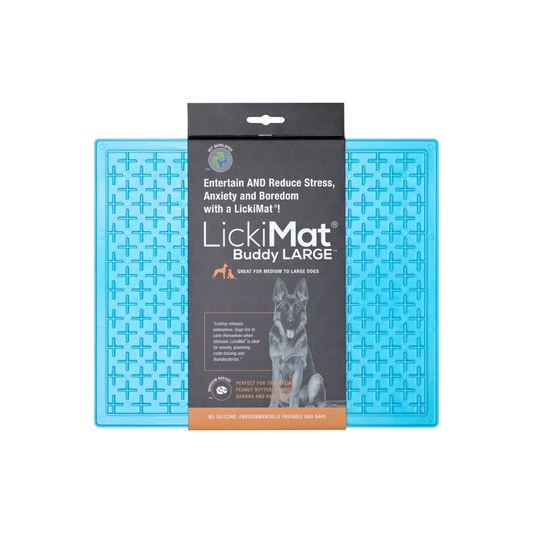 LM BUDDY XL TURQUOISE FOR DOG