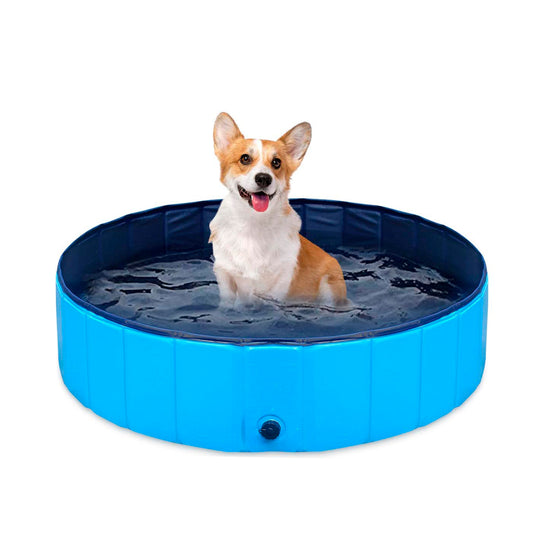 PISCINA PARA MASCOTAS